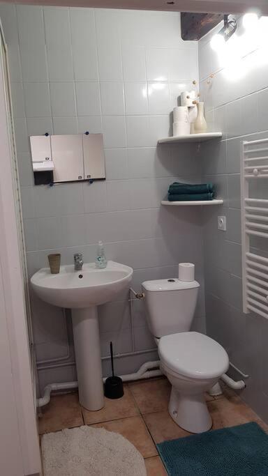 Studio Orleans Chatelet Extérieur photo